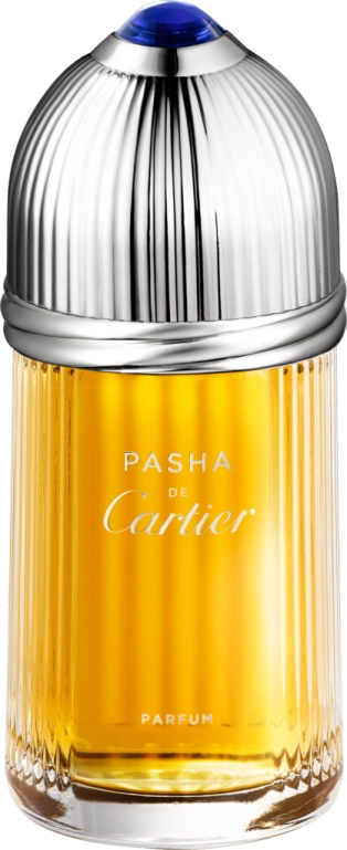 Cartier Pasha 100ml 3432240504197