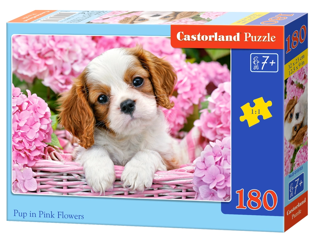 Castorland Pup in Pink Flowers 180