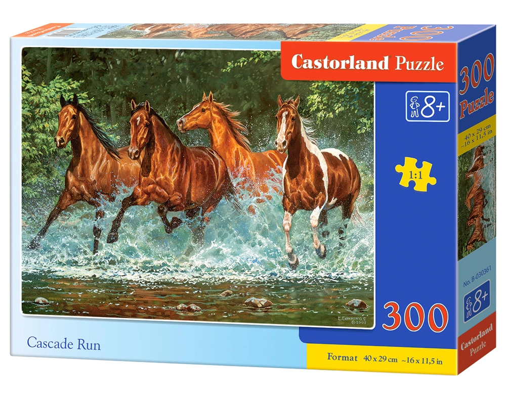 Castorland Cascade Run 300 pcs Jigsaw