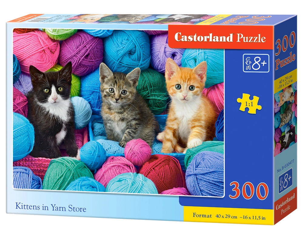 Castorland B-030477 puzzle Jigsaw puzzle 300