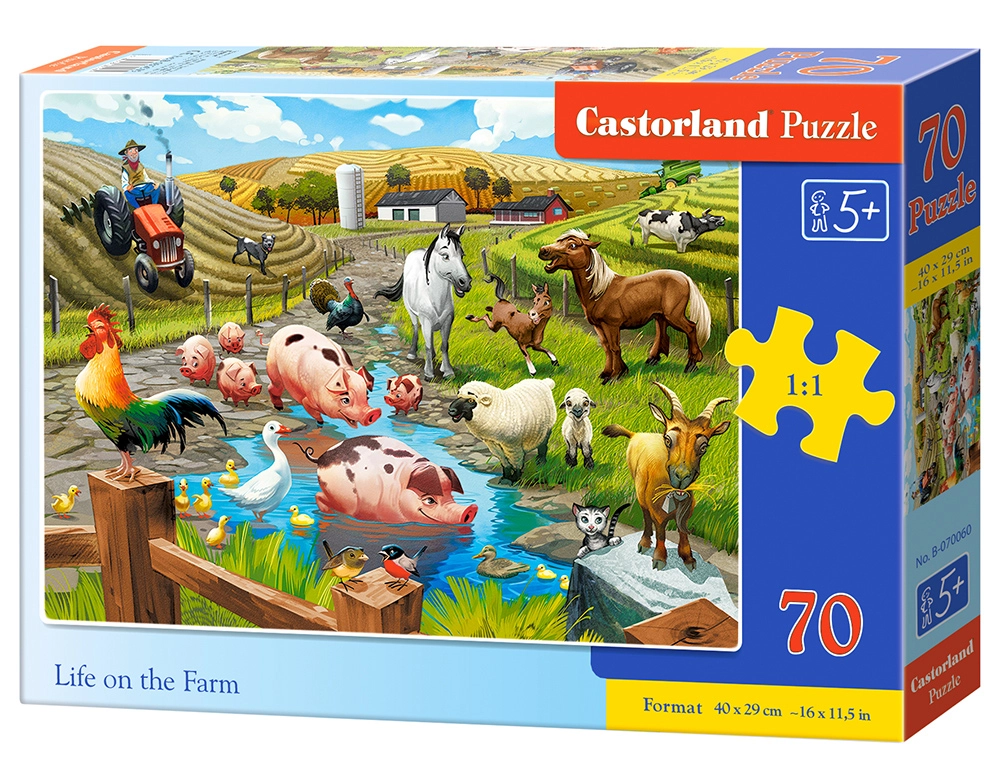 Castorland B-070060 puzzle Jigsaw puzzle 70
