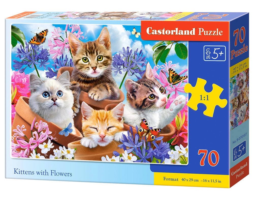 Castorland B-070107 puzzle Jigsaw puzzle 70