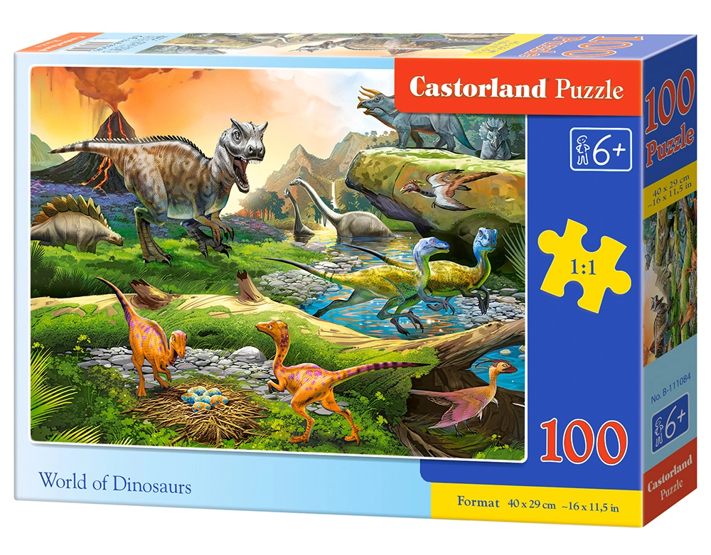 Castorland B-111084 puzzle Jigsaw puzzle 100