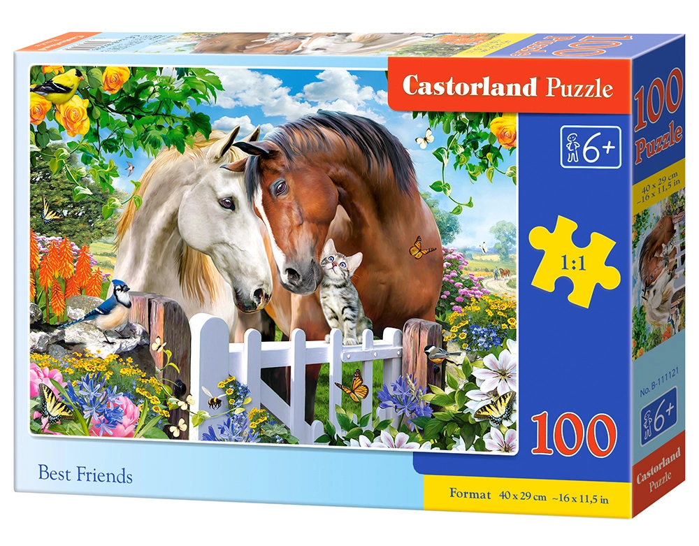 Castorland B-111121 puzzle Jigsaw puzzle 100