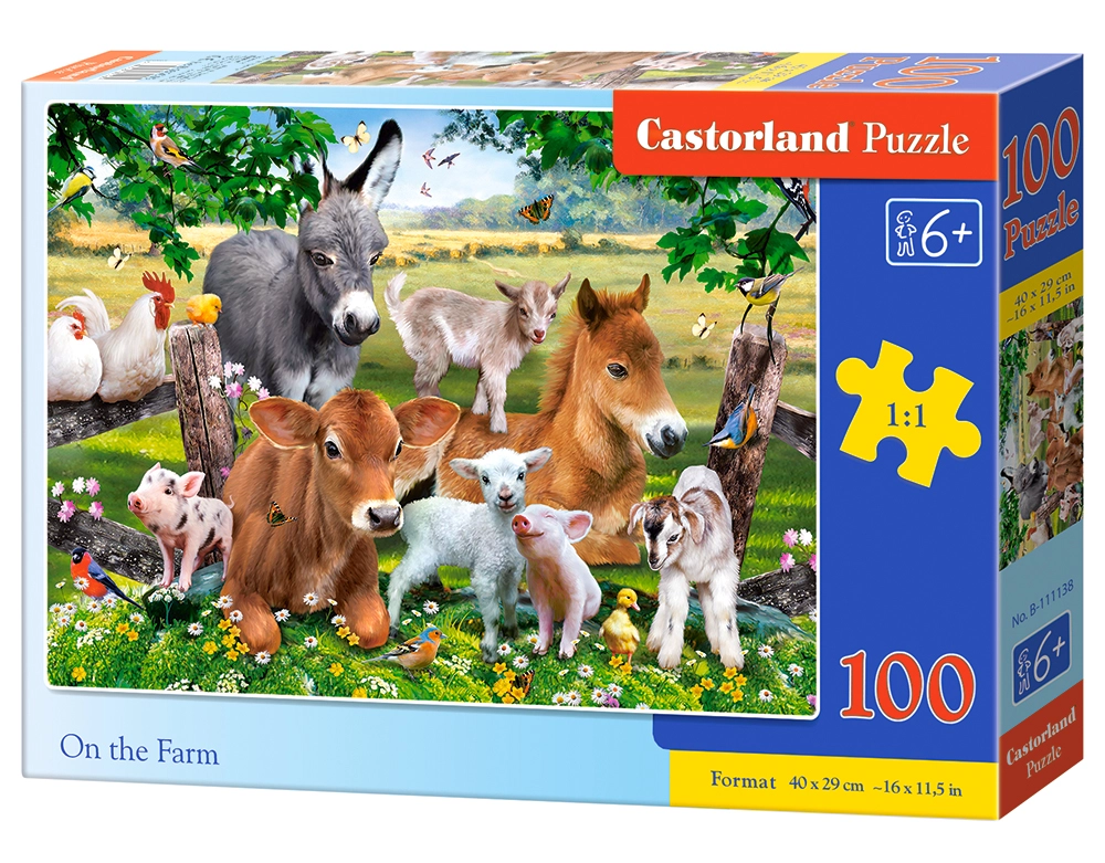 Castorland B-111138 puzzle Jigsaw puzzle 100