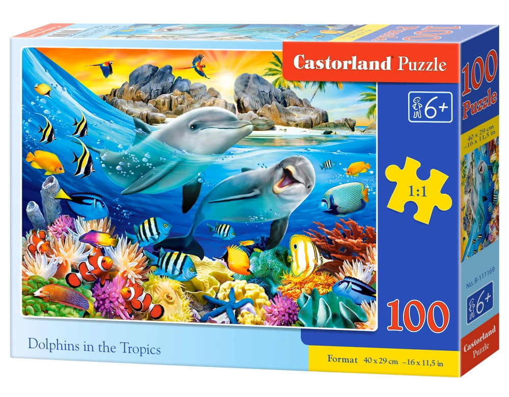 Castorland Dolphins in the Tropics 100