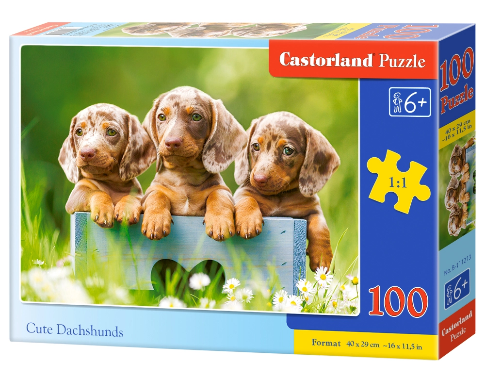 Castorland B-111213 puzzle Jigsaw puzzle 100