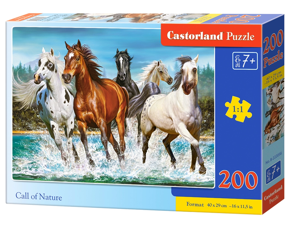 Castorland B-222056 puzzle Jigsaw puzzle 200
