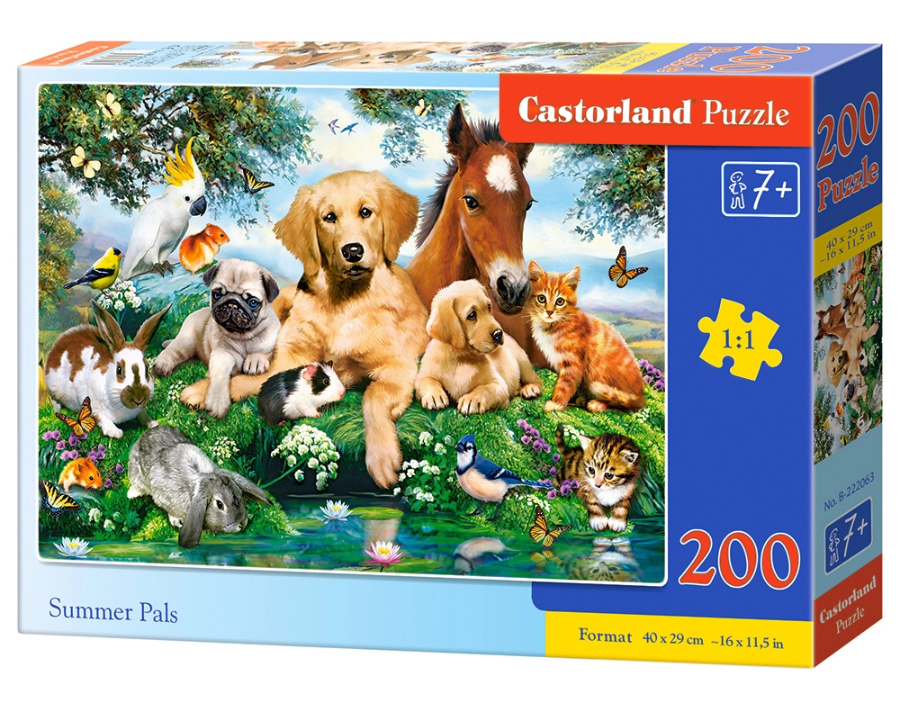 Castorland B-222063 puzzle Jigsaw puzzle 200