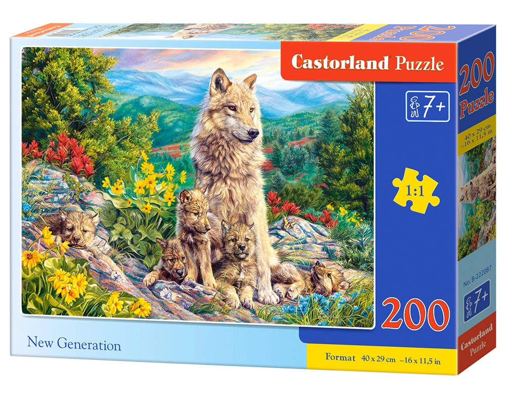Castorland B-222087 puzzle Jigsaw puzzle 200