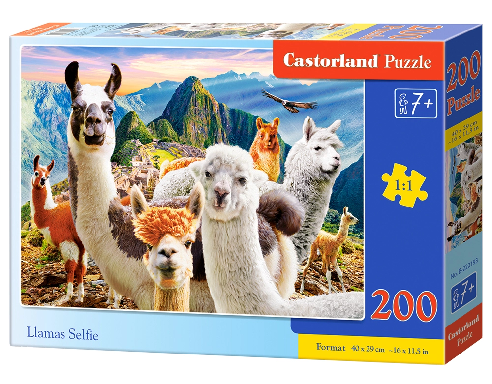 Castorland B-222193 puzzle Jigsaw puzzle 200