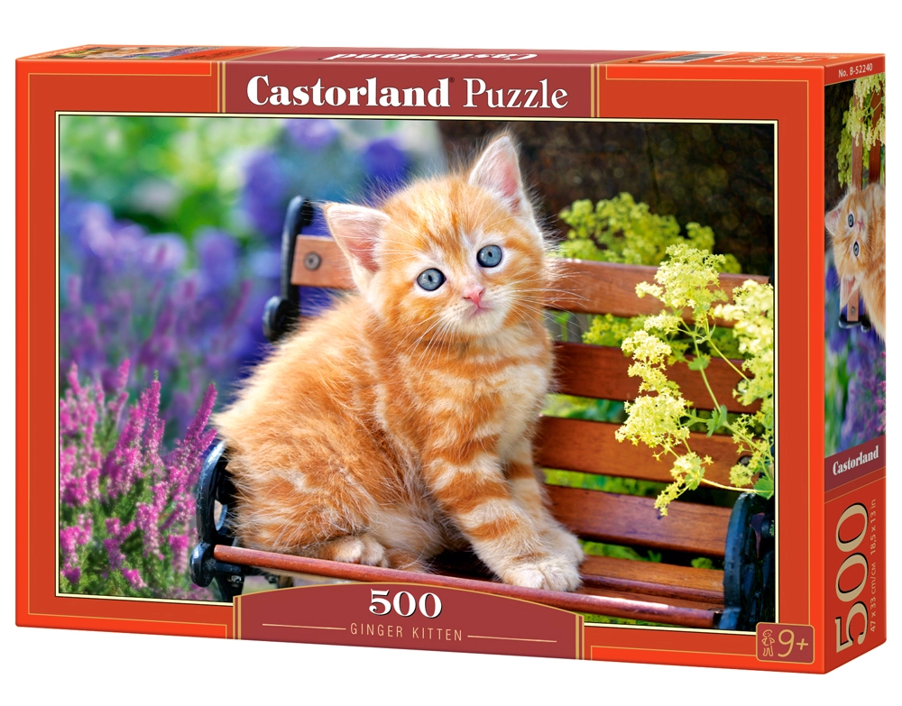 Castorland Ginger kitten 500 pcs Jigsaw