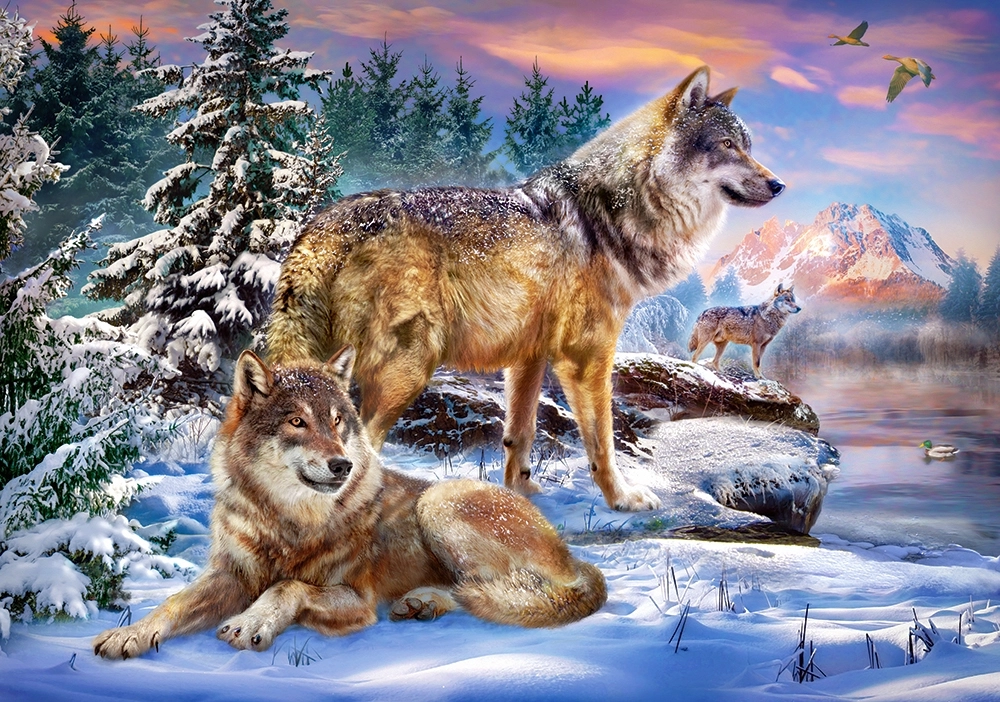 Castorland Wolfish Wonderland Jigsaw puzzle 500
