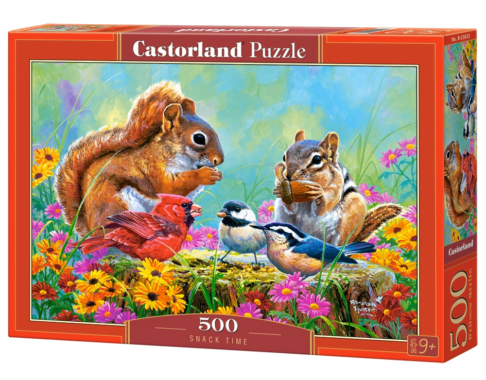 Castorland B-53612 puzzle Jigsaw puzzle 500