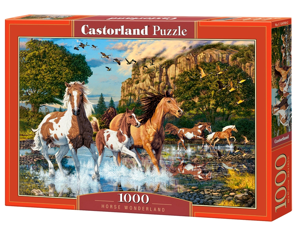 Castorland C-104789-2 puzzle Jigsaw puzzle 1000