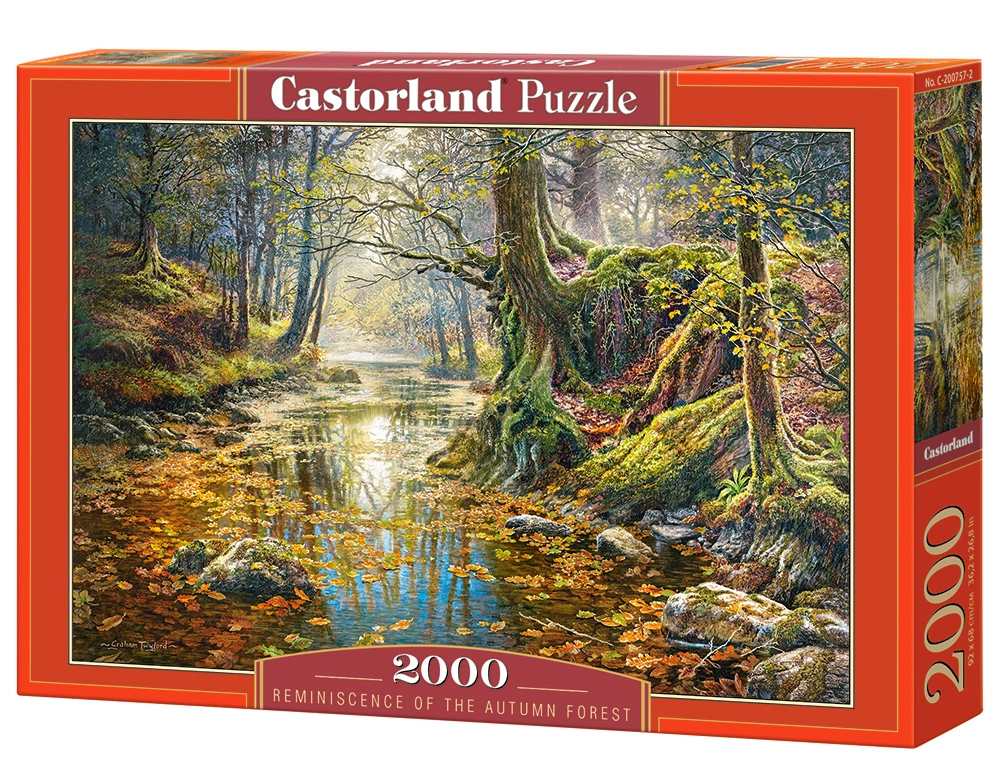 Castorland Reminiscence of the Autumn Forest