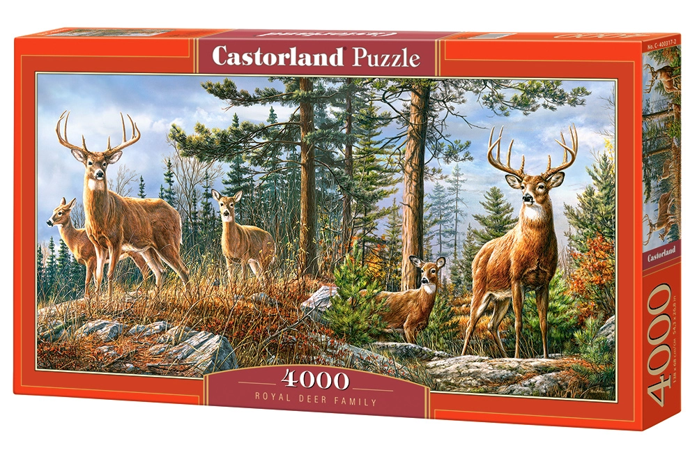Castorland C-400317-2 puzzle Jigsaw puzzle 4000
