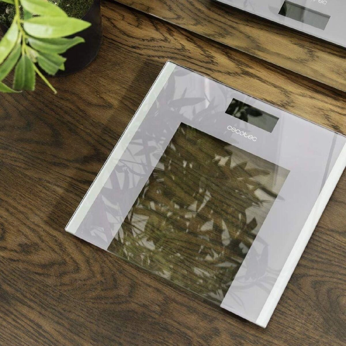 Svarstyklės Cecotec Bathroom Scales Surface Precision