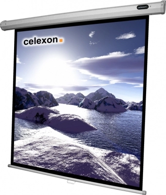 Celexon 1090029 projection screen 1:1 1090029
