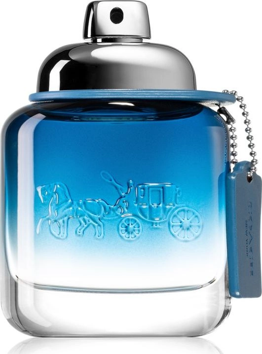 Coach Blue EDT 100ml 3386460113724