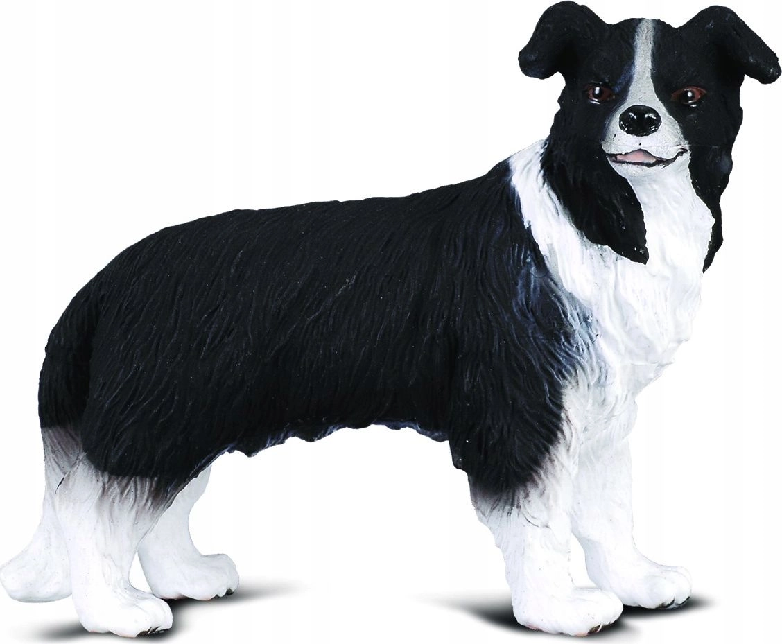 Figurka Collecta PIES BORDER COLLIE (M)