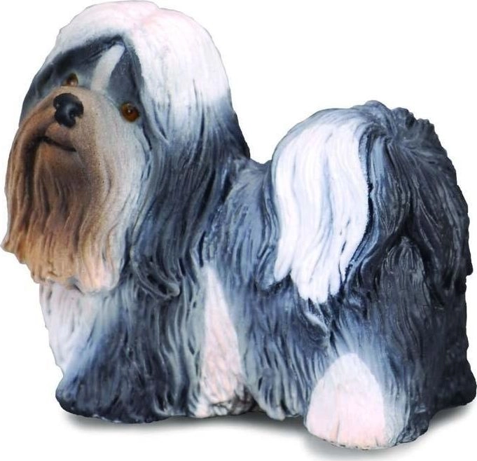 Figurka Collecta PIES RASY SPANIEL CAVALIER