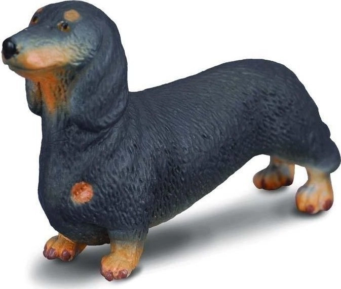 DOG BREED DACHSHUND (S) ( 004-88185