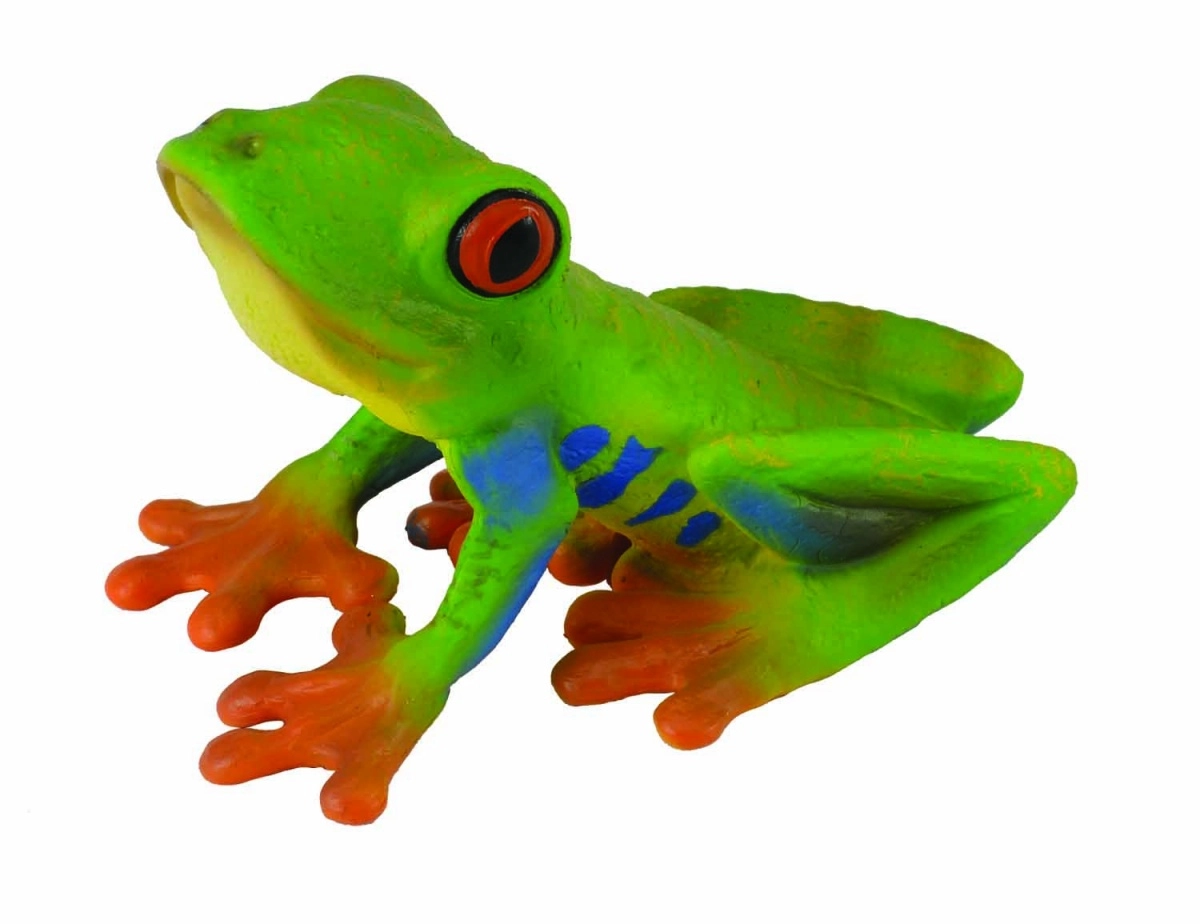 RED-EYED TREE Frog (M) 004-88386 4892900883861
