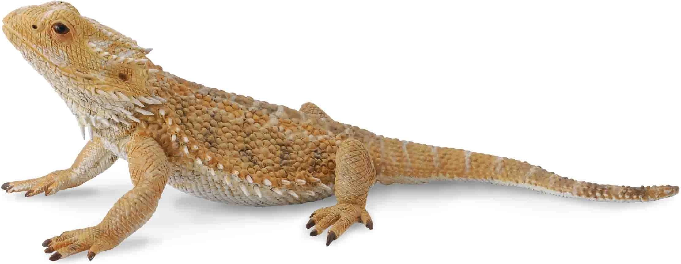 Collecta Lizard Dragon Figurine (004-88567) 004-88567
