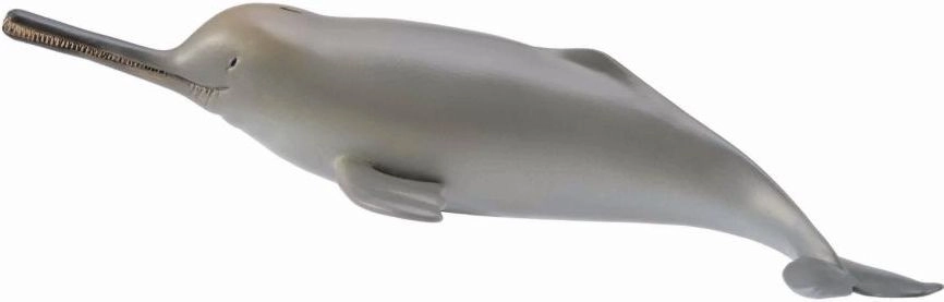 Figurka Collecta Delfin z rzeki Ganges