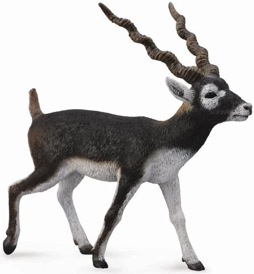 Collecta Blackbuck Antelope Figurine (004-88638) (