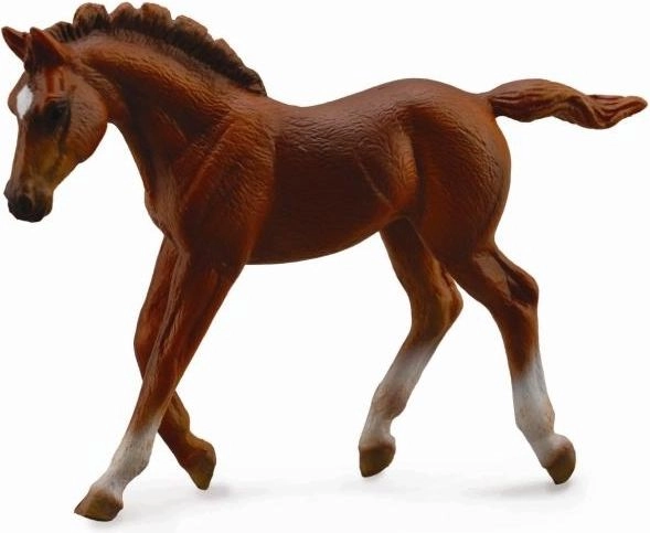 Figurka Collecta Źrebię Thorughbred Foal Chesnut