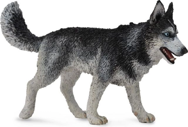 Collecta Figurine - Siberian Husky 004-88707