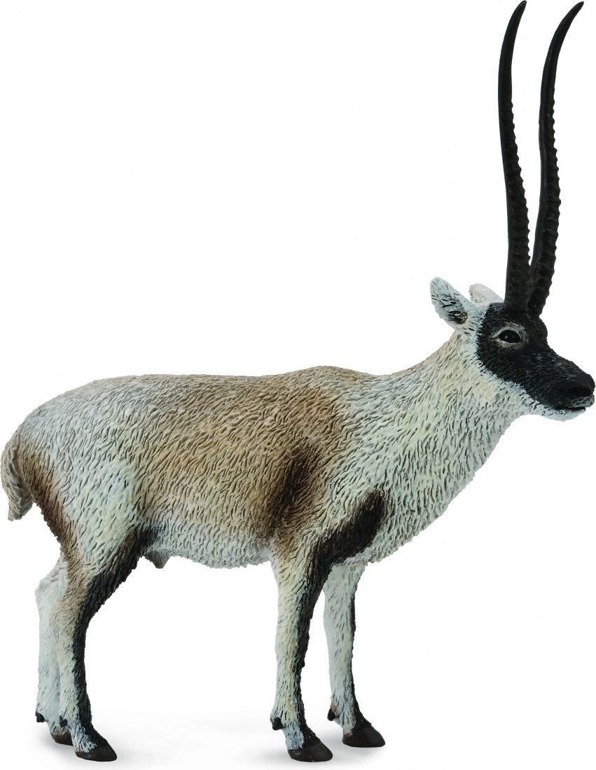 Figurine Collecta Cziru - Tibetan Antelope