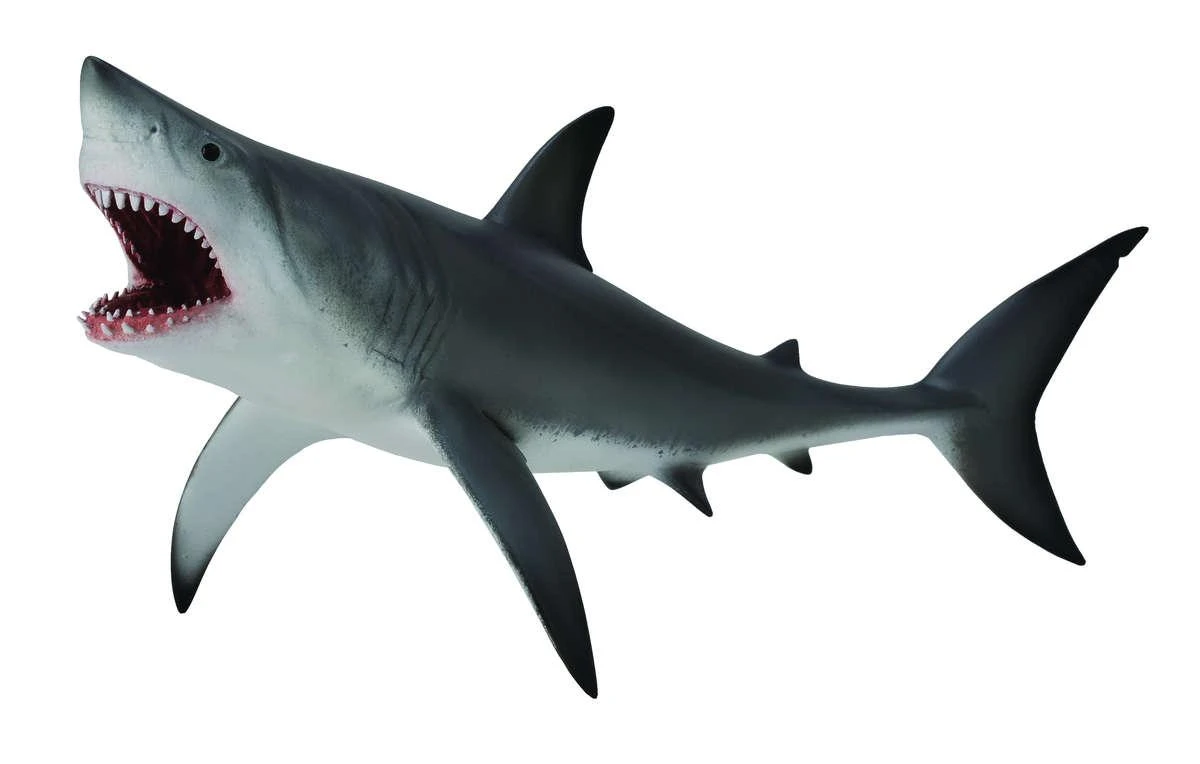 GREAT WHITE SHARK - OPEN JAWS