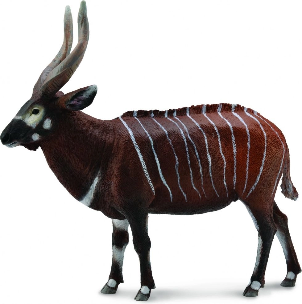 BONGO ANTILOPE (XL) ( 004-88809 4892900888095