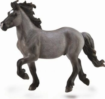 Koń Icelandic Stallion Blue Dun 88826