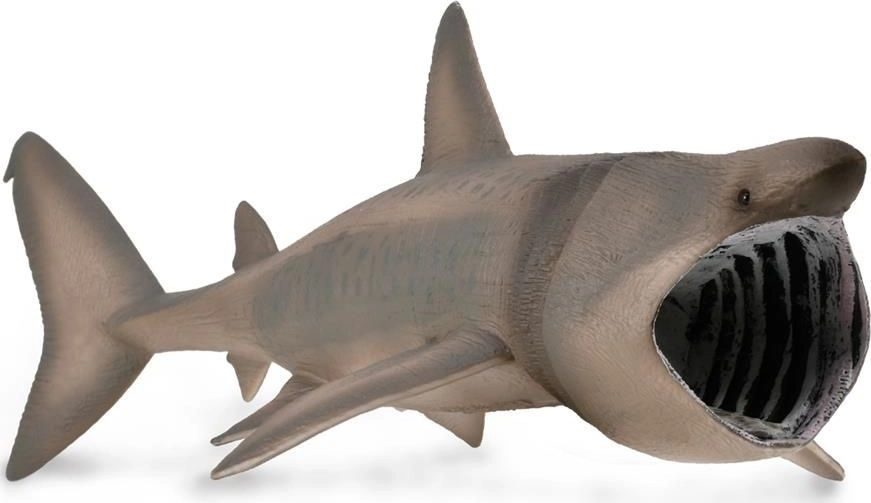 Basking shark Long-tailed shark 88914 COLLECTA