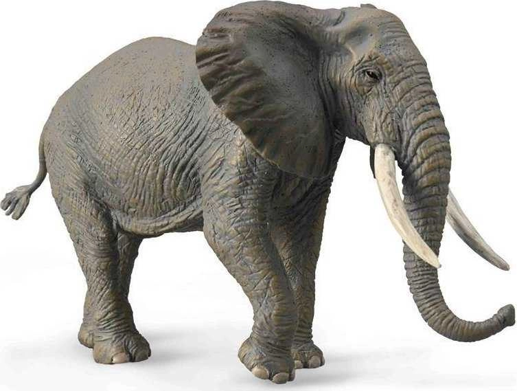 Collecta Figūrėlė Afrikinis dramblys (XL) 004-88966
