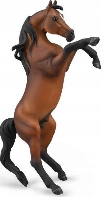 Bay Arabian stallion 004-88993 4892900889931