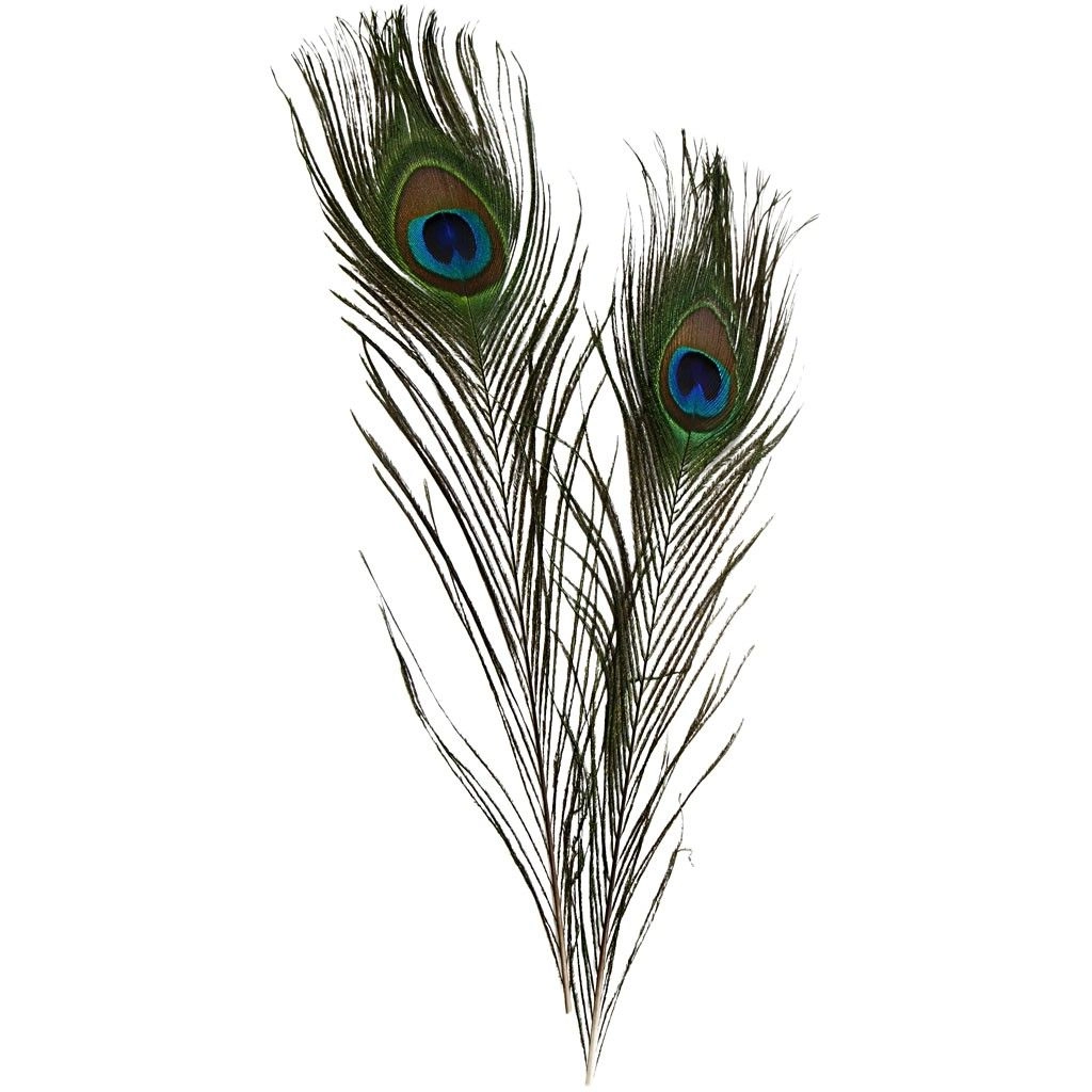 Creativ Company 51810 feather Green 1221308