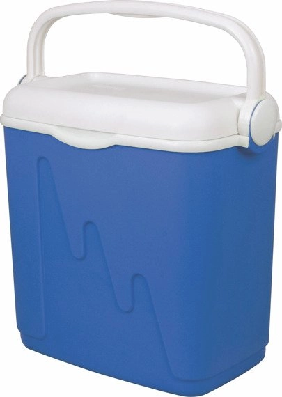 Curver Lodówka cool box 20 L