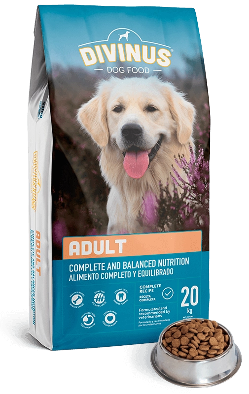 DIVINUS Adult 20 kg 5600276940106 8041846