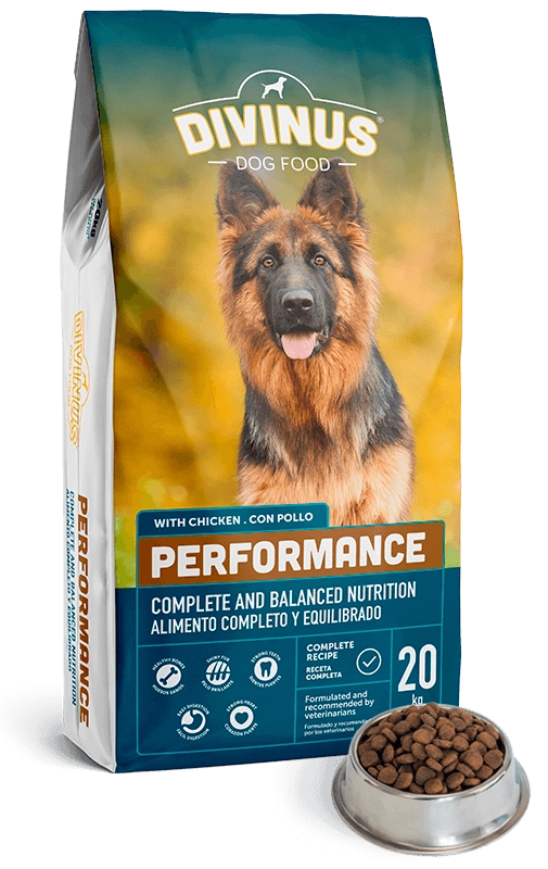 DIVINUS Performance 20 kg Adult 5600276940113