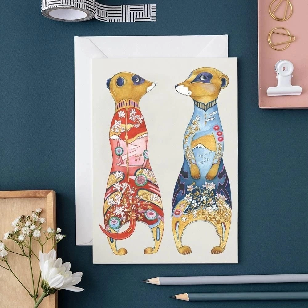 A141 B6 pass + Meerkat envelope