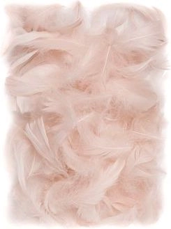 Feathers 5-12 cm  10 g nude