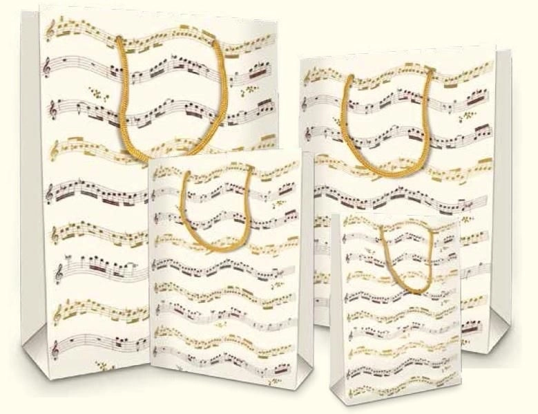 BXS502C37A Musica mini decorative bag (