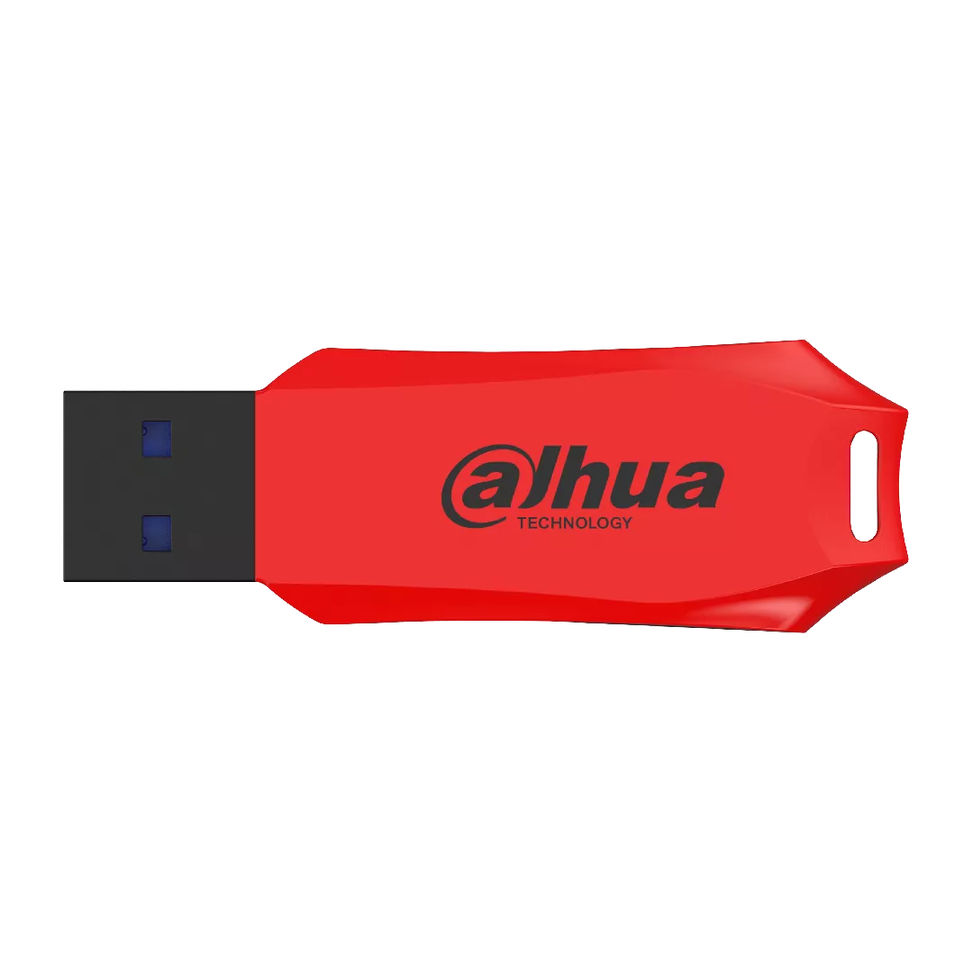 Dahua Technology USB-U176-31-256G USB flash drive