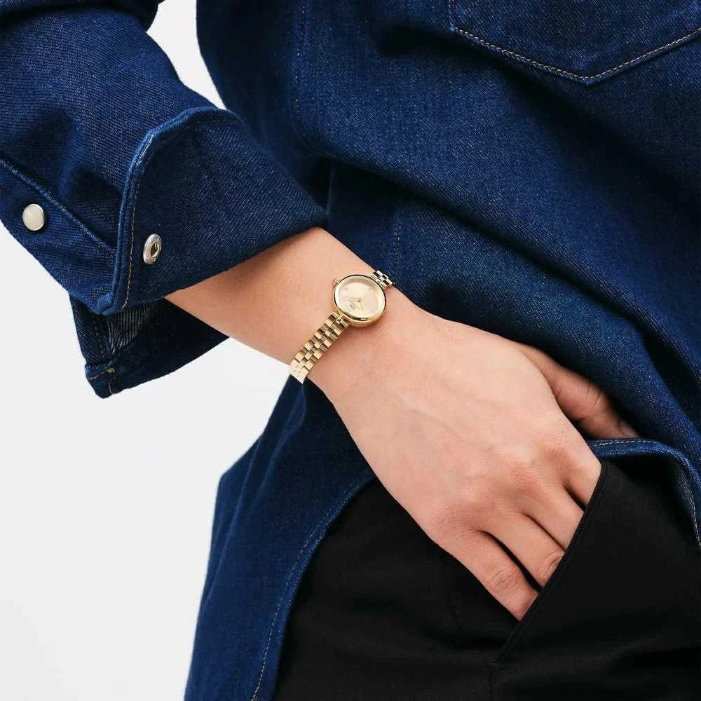 Moteriškas laikrodis DANIEL WELLINGTON Elan Lumine