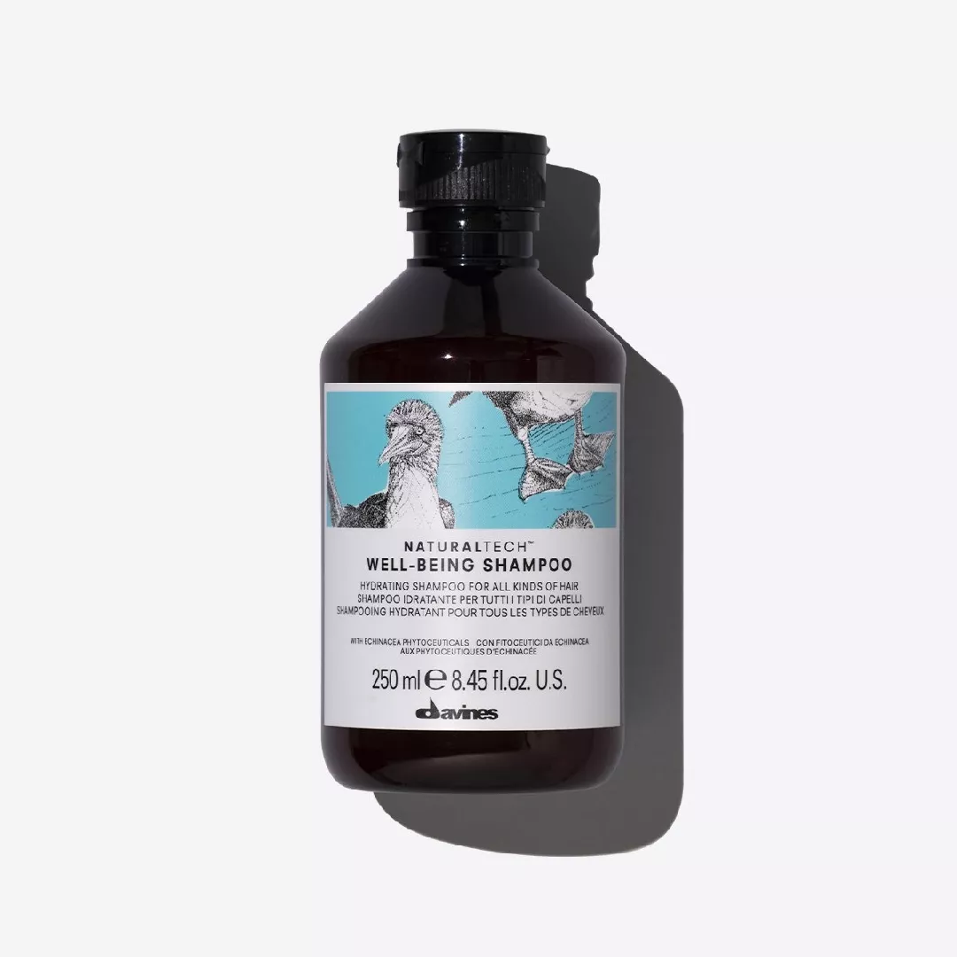 Davines NATURALTECH WELLBEING Shampoo 250ml 8004608256502